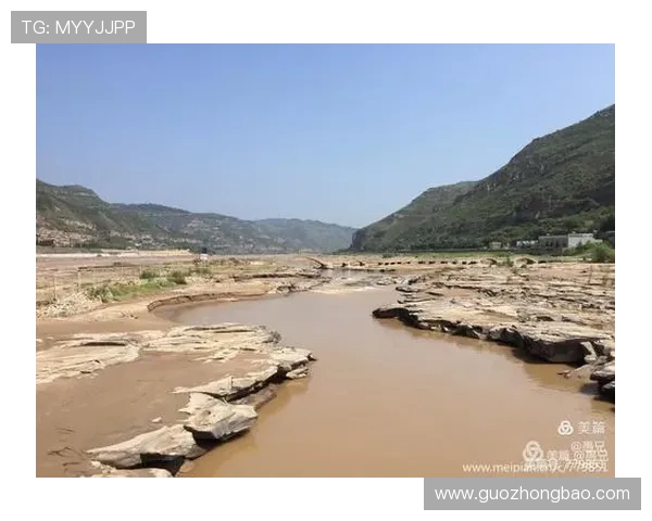 2018至2019赛季火箭队与篮网队精彩对决回顾与分析